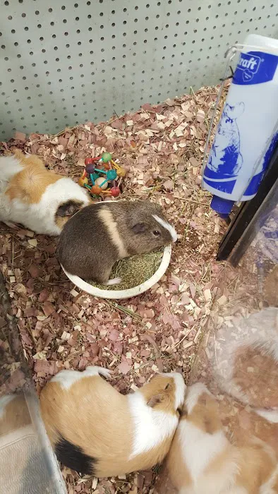 Crosby Pet Center Inc Picture 2