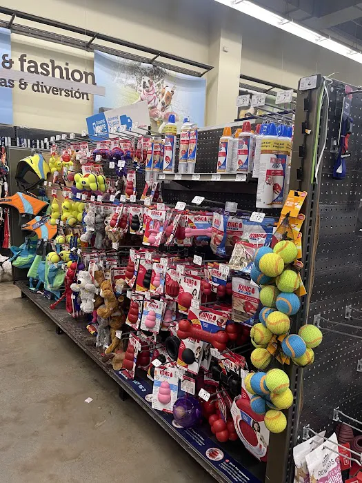 Petco Picture 7