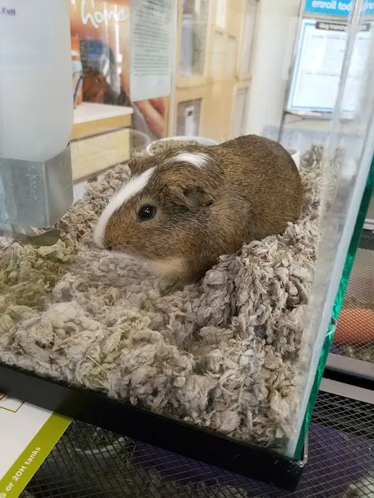 Petco Picture 9