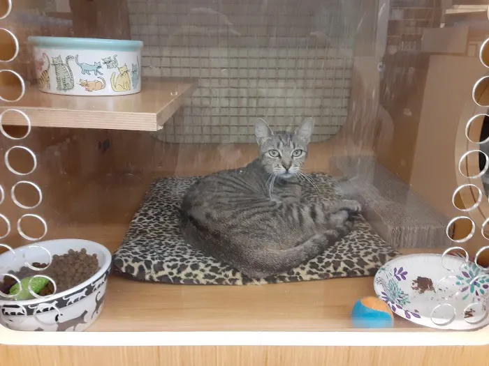Petco Picture 3