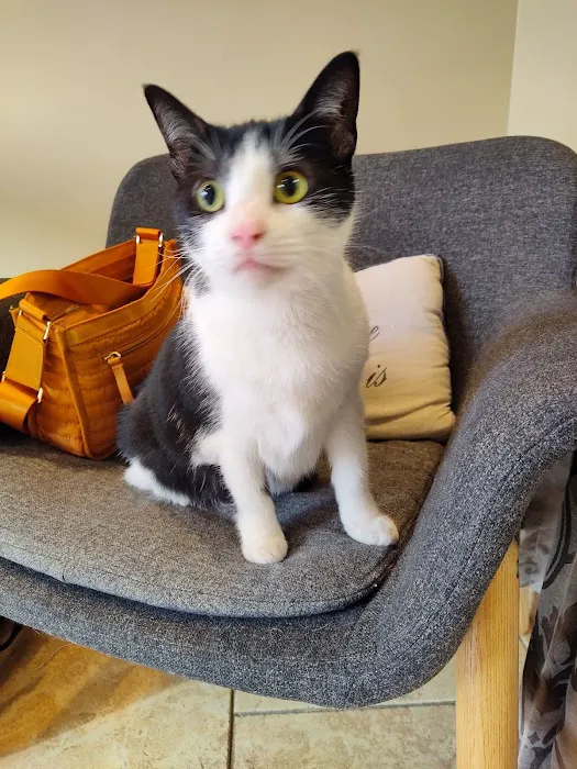 HousePaws Mobile Veterinary Service of Mount Laurel Picture 7