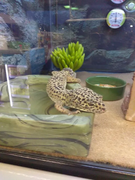 Petco Picture 2
