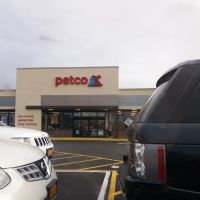 Petco ico