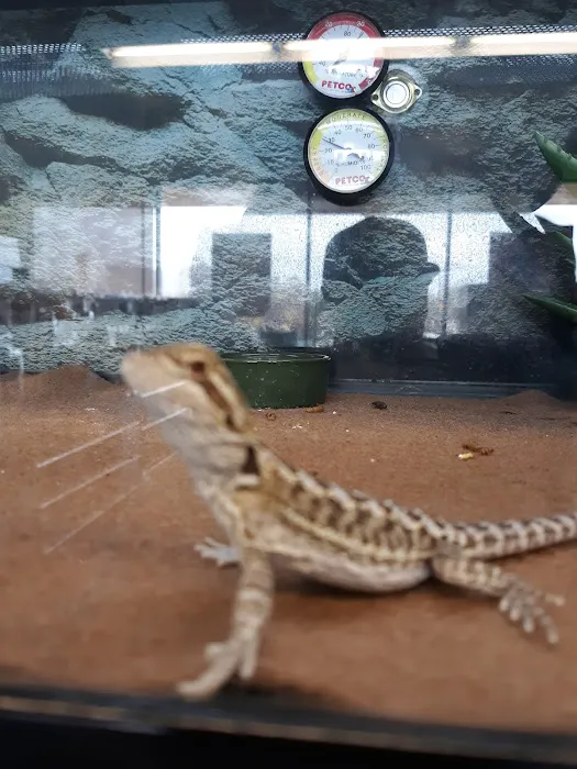 Petco Picture 5