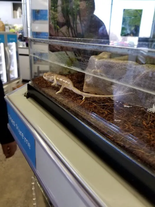 Petco Picture 7