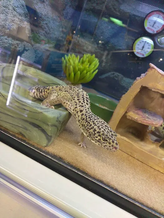Petco Picture 10