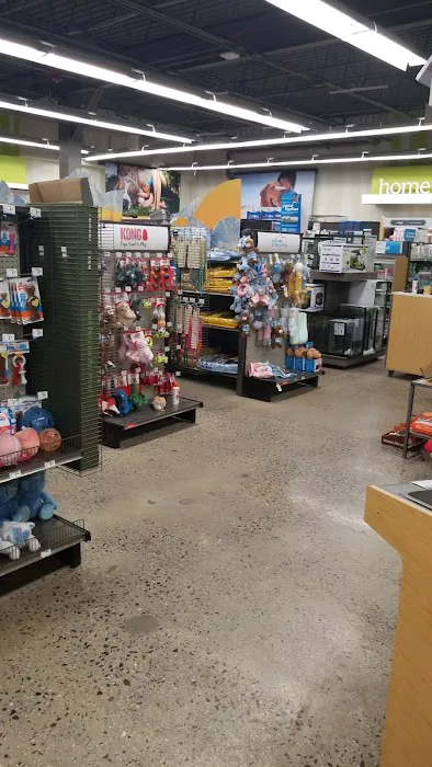 Petco Picture 9