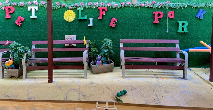 P3T LIF3 Picture 6