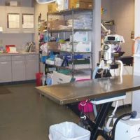 Willingboro Veterinary Clinic ico