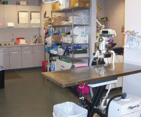 Willingboro Veterinary Clinic