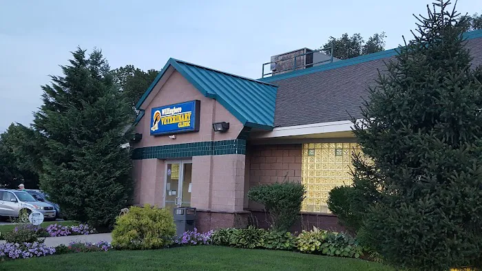 Willingboro Veterinary Clinic Picture 2