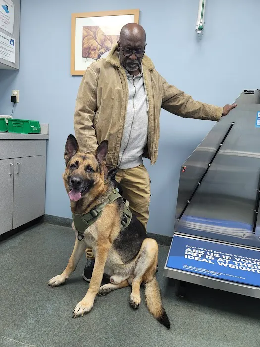 Willingboro Veterinary Clinic Picture 9