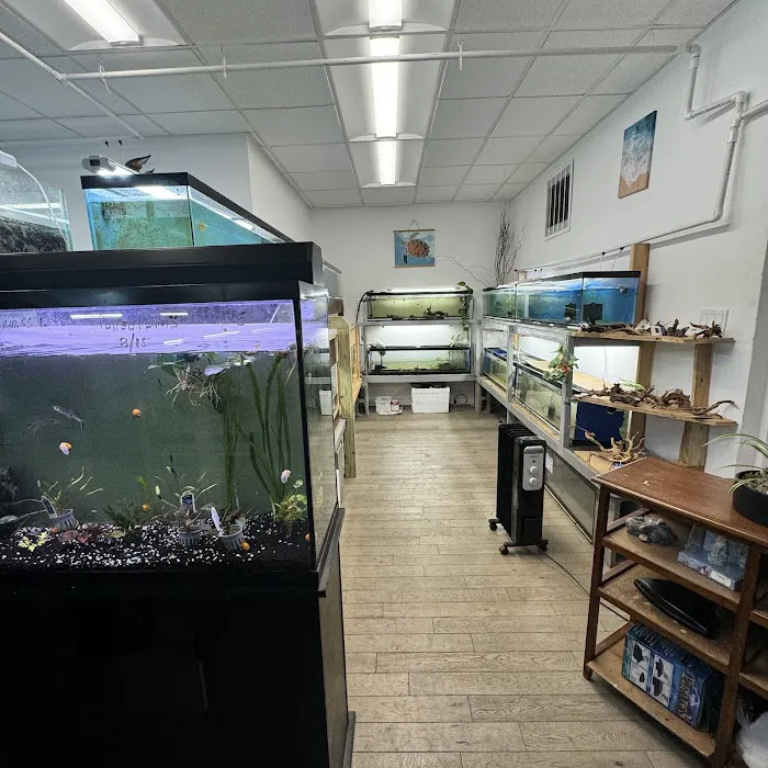 City Island Aquarium Tropical Fish Sales Picture 4