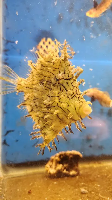 City Island Aquarium Tropical Fish Sales Picture 5