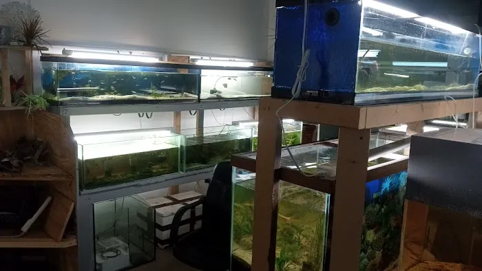 City Island Aquarium Tropical Fish Sales Picture 10
