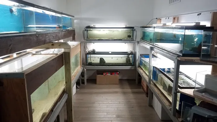 City Island Aquarium Tropical Fish Sales Picture 8