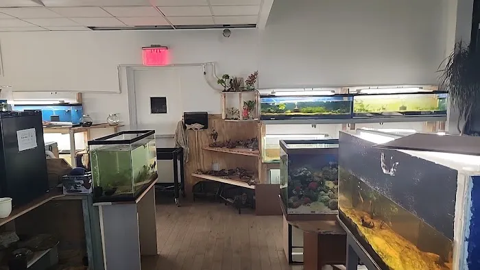 City Island Aquarium Tropical Fish Sales Picture 9