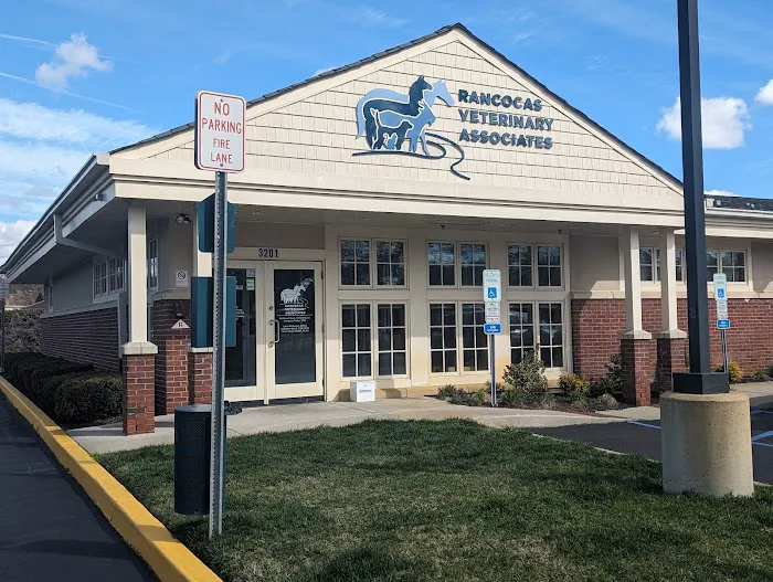 Rancocas Veterinary Associates Picture 2