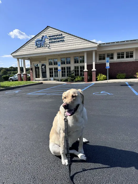 Rancocas Veterinary Associates Picture 3