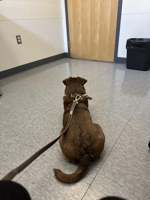 Rancocas Veterinary Associates Picture 8