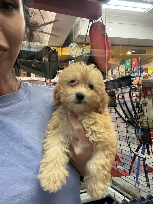 Mamas Papas Pet Shop Picture 3