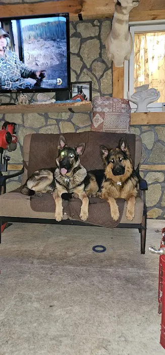 Mamas Papas Pet Shop Picture 4
