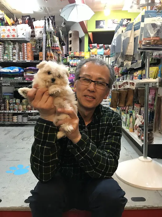 Mamas Papas Pet Shop Picture 8