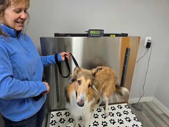 Larchmont Animal Hospital Picture 6