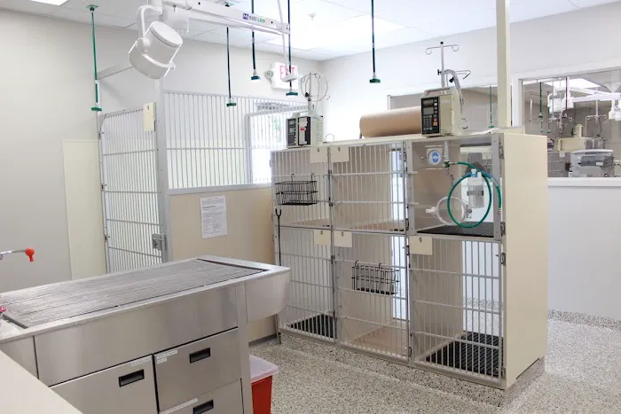 Red Bank Veterinary Hospital - Mt. Laurel Picture 2