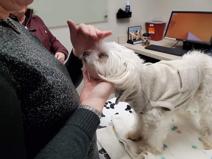 Red Bank Veterinary Hospital - Mt. Laurel Picture 6