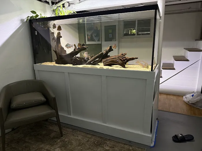 Life in Aquarium Picture 3