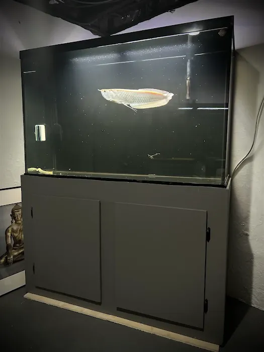 Life in Aquarium Picture 9