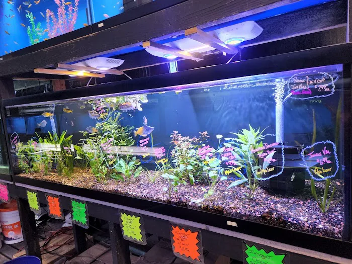 The Fish Hut of New Jersey Picture 2