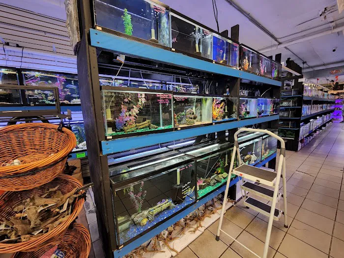 The Fish Hut of New Jersey Picture 4