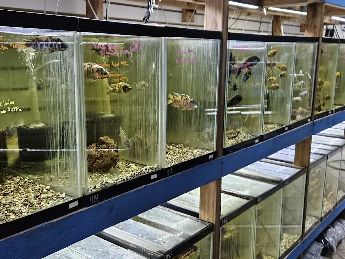The Fish Hut of New Jersey Picture 3