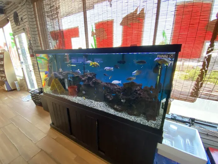 The Fish Hut of New Jersey Picture 5