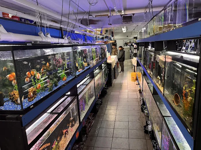 The Fish Hut of New Jersey Picture 6