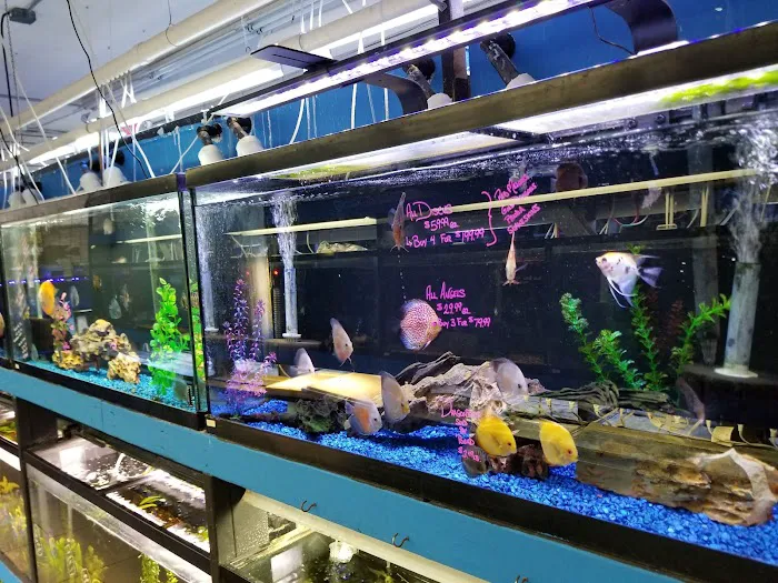 The Fish Hut of New Jersey Picture 8