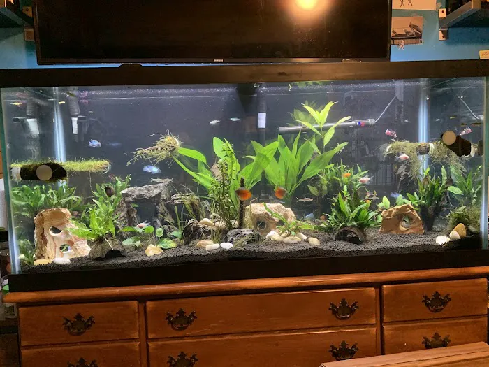 The Fish Hut of New Jersey Picture 9