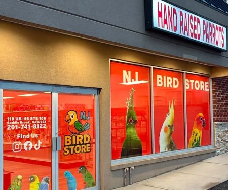 NJ Bird Store
