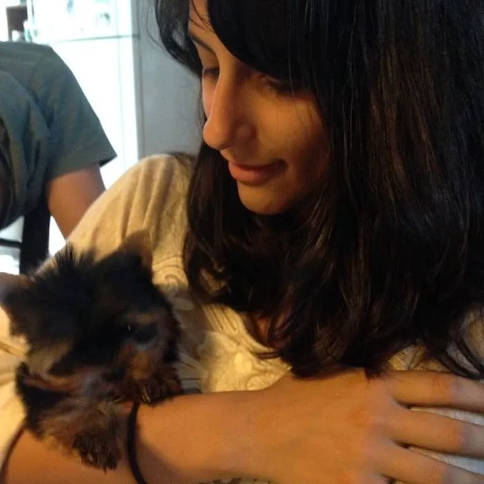 Yorkie Puppies For rehoming USA Picture 9