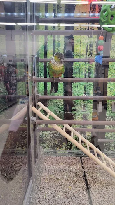 Petco Picture 2