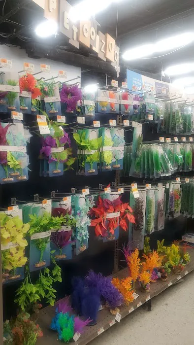 Petco Picture 1