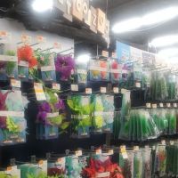 Petco ico