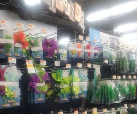 Petco