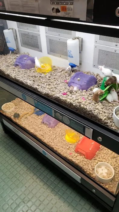 Petco Picture 4
