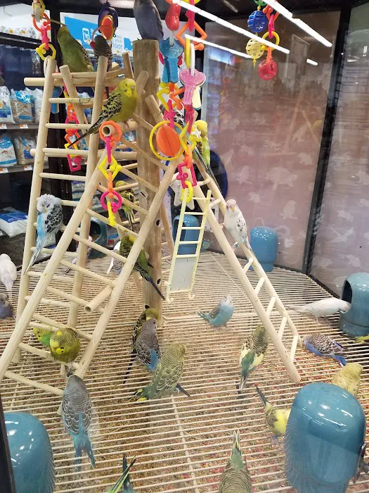 Petco Picture 6