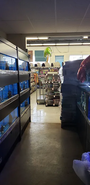 Petco Picture 9