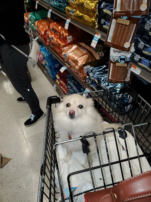 Petco Picture 8