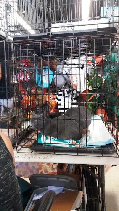 Petco Picture 10